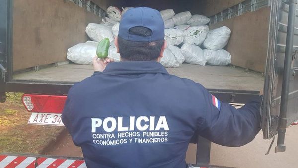 Contrabando de locote cubre la demanda local, denuncian