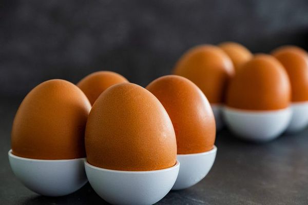 ¿Proteínas sin grasa? consumí clara de huevo - Estilo de vida - ABC Color