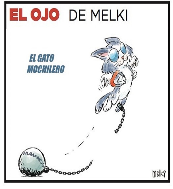 Caricaturas de este martes 17 de agosto de 2021