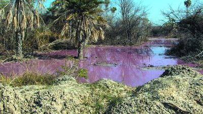 Temen que aguas contaminadas causen destrucción en el Caañabé