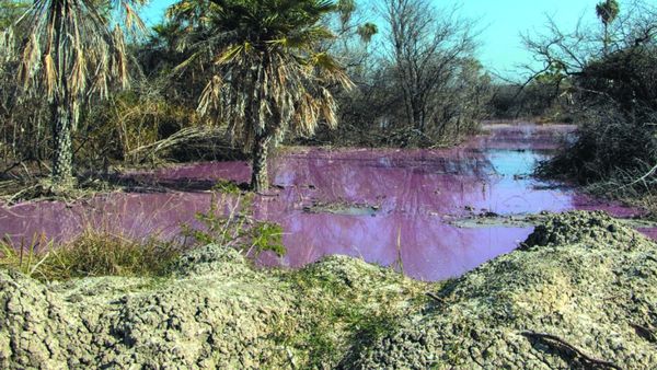 Temen que aguas contaminadas causen destrucción en el Caañabé