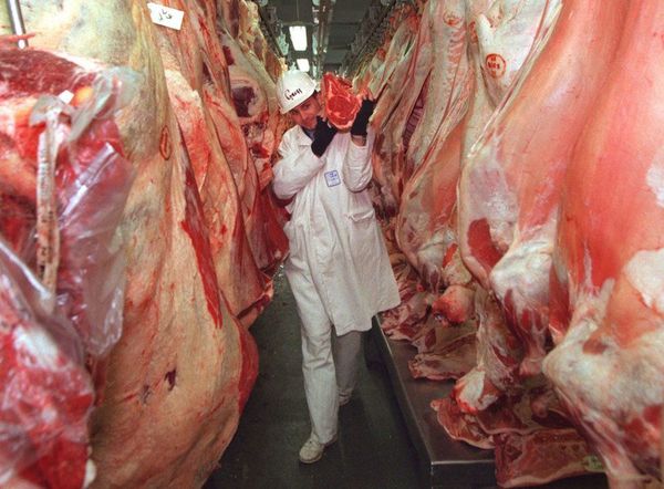 Paraguay llegará a exportar 400.000 toneladas de carne bovina este año