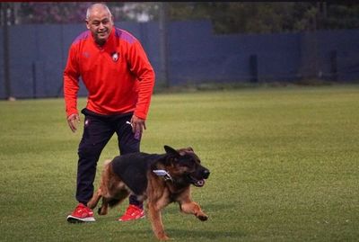 Mientras tanto en Barrio Obrero: Francisco Arce, feliz y jugando con el perro en el entrenamiento - Cerro Porteño - ABC Color
