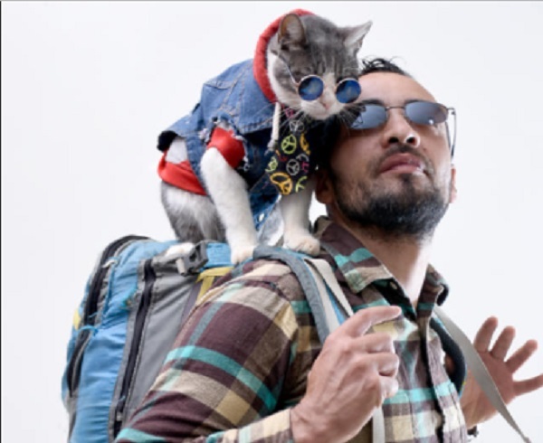 Buscan confirmar si el “Gato Mochilero” fue envenenado