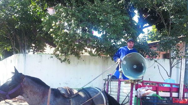 Chatarreros y chiperos son los más denunciados por ayvu