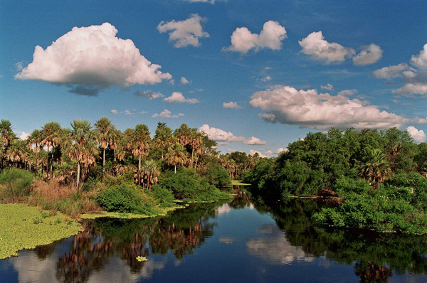 Bahía Negra busca posicionarse como una de las ofertas turísticas más exuberantes del Paraguay | .::Agencia IP::.