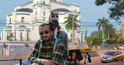 La Nación / Autopsia del Gato Mochilero revela que murió por ataque de perros y no por envenenamiento