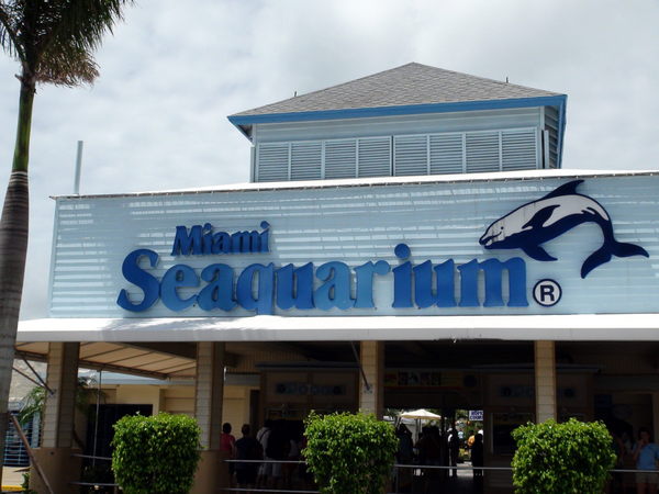Compañía mexicana acuerda con española la compra del Miami Seaquarium - MarketData