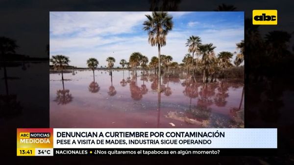 Denuncian a curtiembre por contaminación de aguas - ABC Noticias - ABC Color