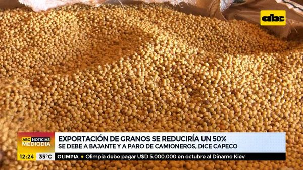 Exportación de granos se reduciría en un 50% - ABC Noticias - ABC Color