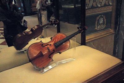 La lucha contra los gusanos confirió a los Stradivarius su sonido único - Ciencia - ABC Color