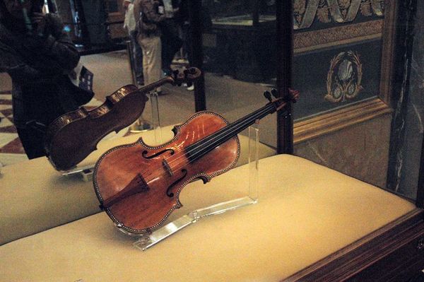 La lucha contra los gusanos confirió a los Stradivarius su sonido único - Ciencia - ABC Color