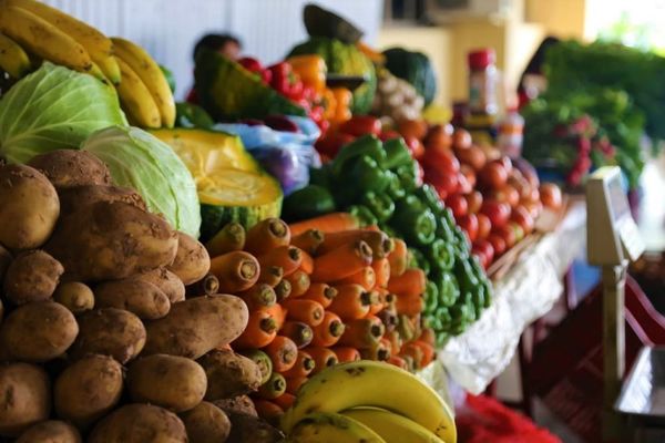 “De Raíz”: vuelve a Asunción la feria agropecuaria de productores campesinos