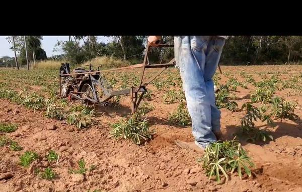 Con ingenio y mucha destreza, agricultor armó una motoaradora