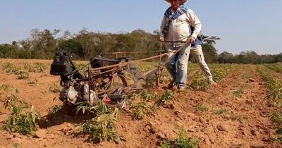 Ingenioso agricultor fabricó una motoaradora en San Pedro