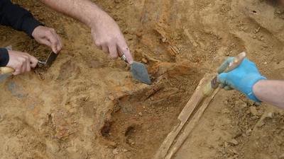 Arqueólogos encuentran en un pantano una escultura pagana de madera de 1.600 años de antigüedad | Ñanduti