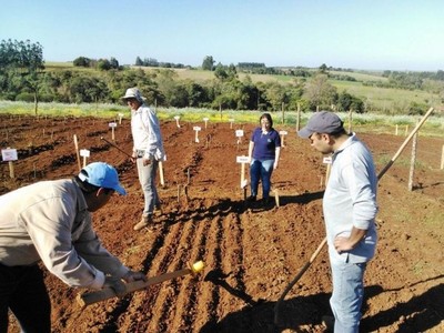 Sector agropecuario del Paraguay fue el de mayor crecimiento de la región