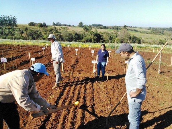 Sector agropecuario del Paraguay fue el de mayor crecimiento de la región