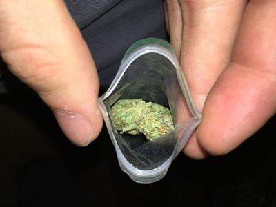 ¿Qué es la marihuana