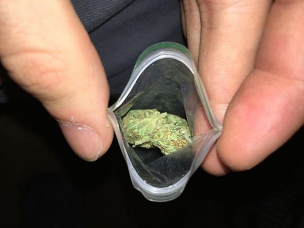 ¿Qué es la marihuana