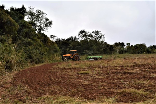 Tras culminar preparación de suelo, productores de Misiones iniciarán la siembra | .::Agencia IP::.