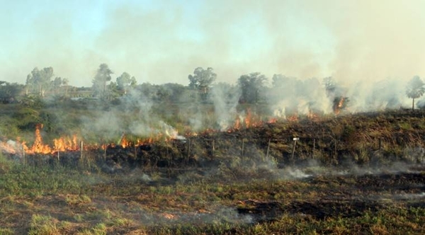 Diario HOY | Más de 700 focos de calor se reportaron a nivel país en las últimas 12 horas