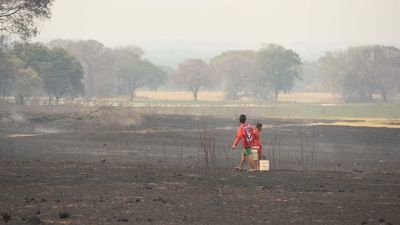 Reportan más de 2.500 focos de calor en las últimas 24 horas