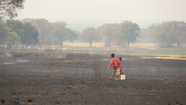 Reportan más de 2.500 focos de calor en las últimas 24 horas