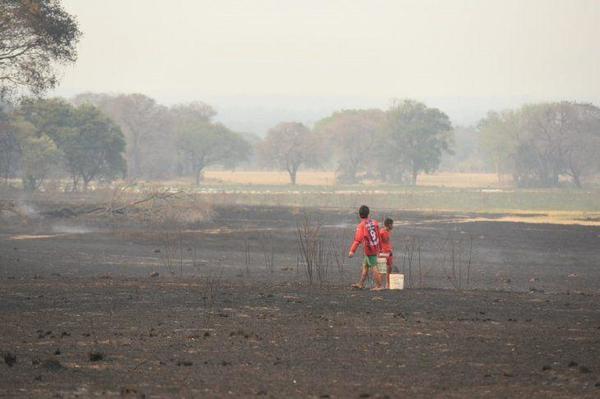 En el país se reportan más de 2.500 focos de calor en las últimas 24 horas – Prensa 5