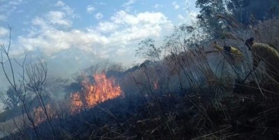 Crónica / Ya empezamos con los incendios