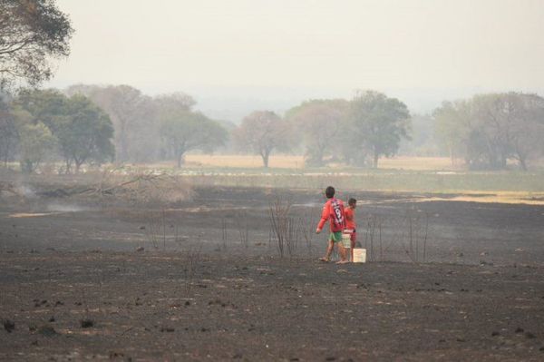 Reportan más de 2.500 focos de calor en las últimas 24 horas