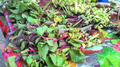 Aumentan los precios de los remedios para el Tereré