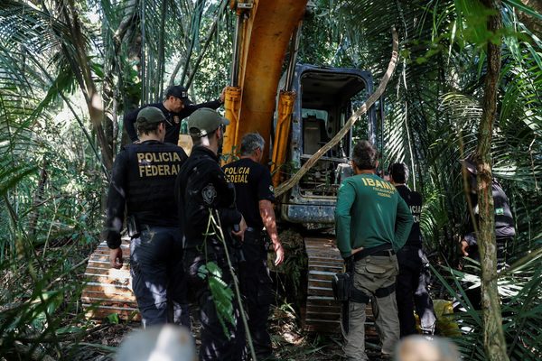 La nueva fiebre de oro, que Brasil exporta por toneladas, amenaza la Amazonía - MarketData