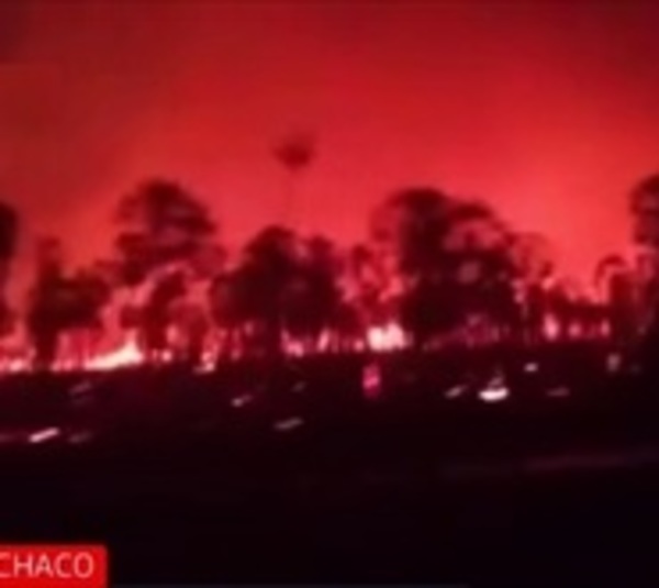 Incendio forestal afecta estancia de Toro Pampa - Paraguay.com