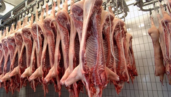 Sector porcino logra un incremento del 57% en ingresos por exportaciones | OnLivePy