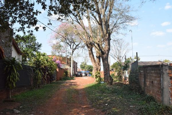 Vecinos salvan árboles nativos en Encarnación - Nacionales - ABC Color