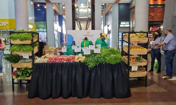 Éxito total de la Feria de Raíz de Multiplaza