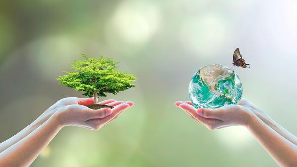 Negociaciones sobre biodiversidad postergadas para el 2022
