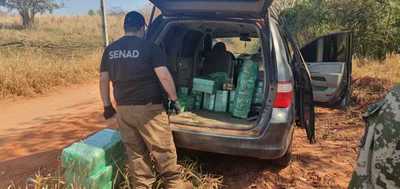 Abandonan camioneta con 253 kilos de marihuana Salto del Guaira