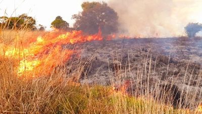 Incendios de pastizales causan cuádruple accidente en Itapúa