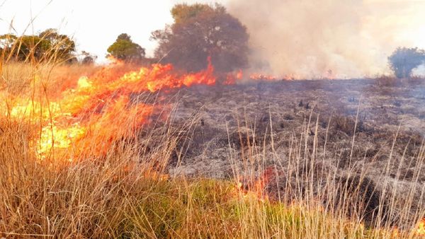 Incendios de pastizales causan cuádruple accidente en Itapúa