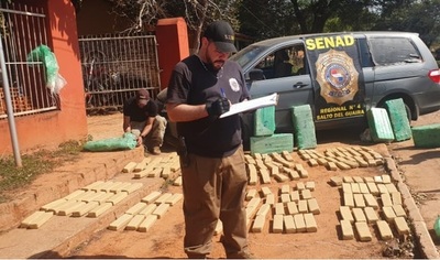 SENAD confisca carga de droga en Yby Pytá
