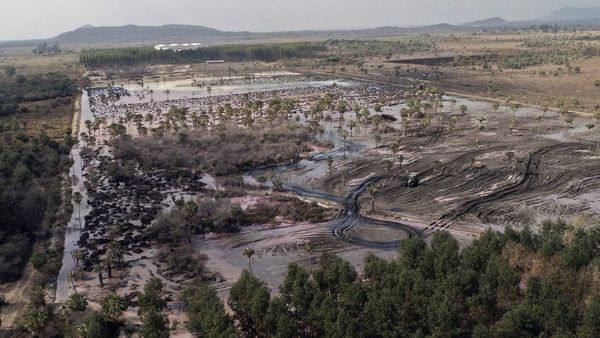 Paraguarí: Cuestionan que no haya análisis de efluente de curtiembre