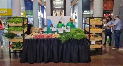 Feria de Raíz del Multiplaza genera buenos resultados