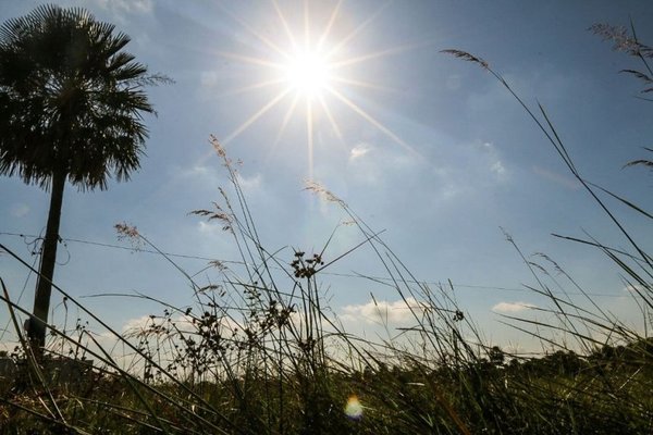 ALTAS TEMPERATURAS Y VIENTOS MODERADOS DEL NORTE.