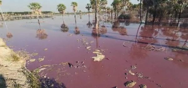 Empresa sigue operando pese a contaminar cauce hídrico en Paraguarí - Nacionales - ABC Color