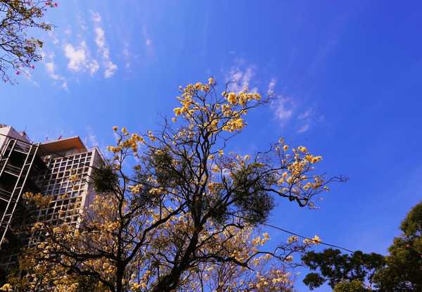 Jornada con altas temperaturas y vientos moderados del norte - ADN Digital