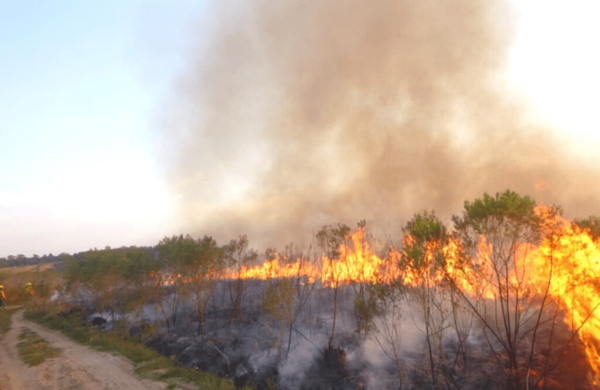 ITAPÚA REGISTRÓ 15 FOCOS DE CALOR EN LAS ÚLTIMAS HORAS