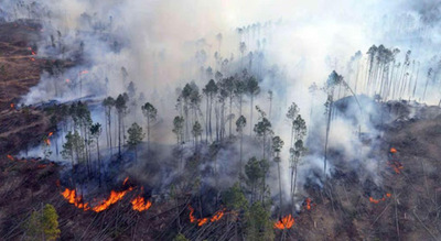 Activan plan para combatir incendios forestales