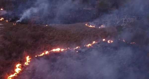 Incendios forestales y de pastizales ocasiona serios daños
